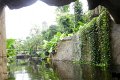 14 - Die Fahrt ging entlang dem Urwaldfluss Gamanil